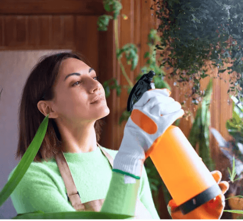 Professional deep cleaning service image in Belfast
